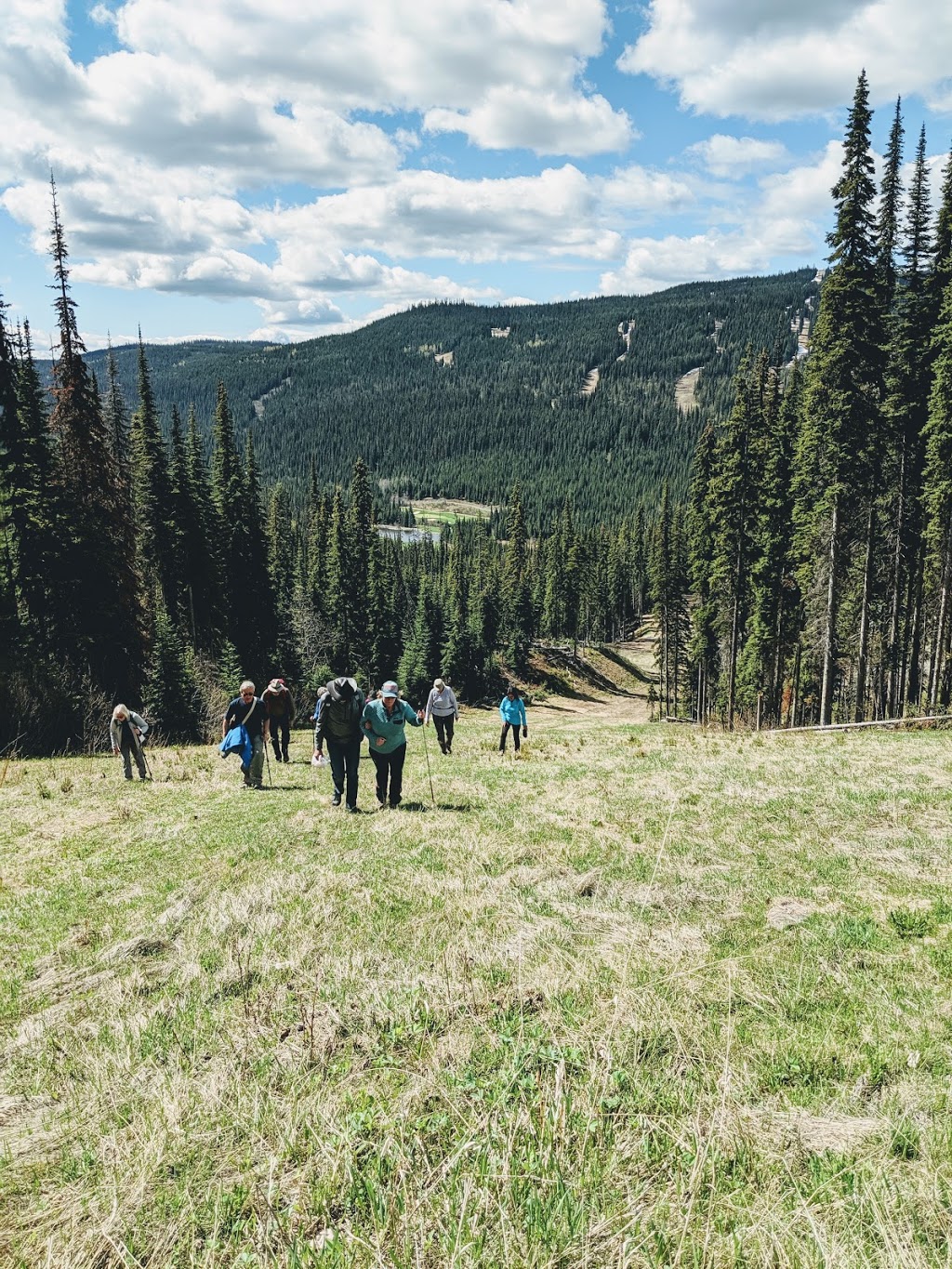 Lookout Ridge Chalet | 5425 Lookout Ridge Drive, Sun Peaks, BC V0E 5N0, Canada | Phone: (604) 780-2940