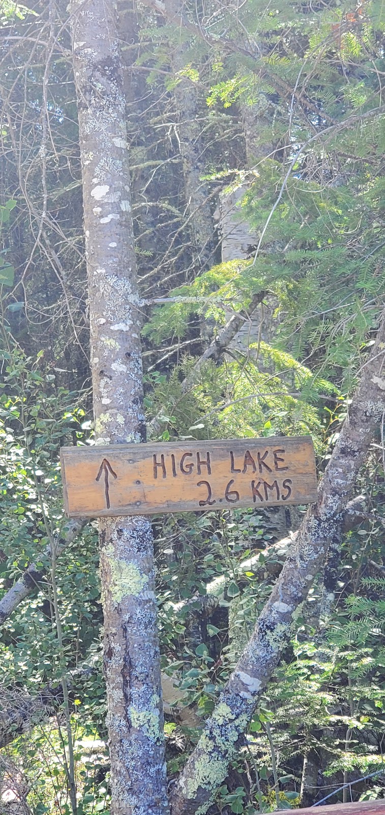 High Lake Hiking Trail | Ridge Rd, Falcon Beach, MB R0E 0N0, Canada | Phone: (204) 349-8273