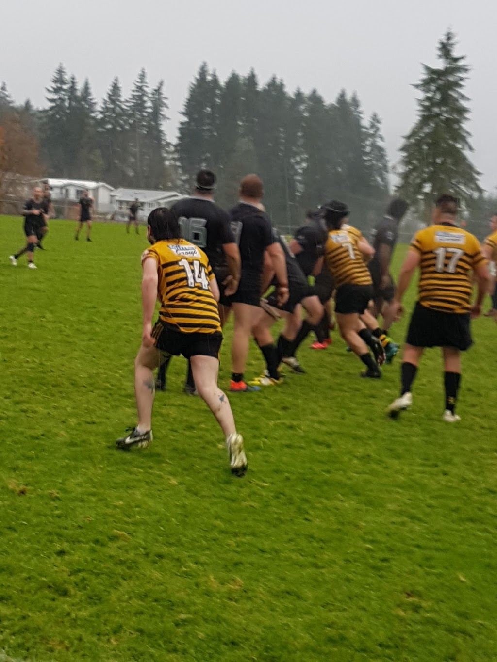 Port Alberni Black Sheep Rugby Club | 3460 Argyle St, Port Alberni, BC V9Y 7R5, Canada | Phone: (250) 723-7412