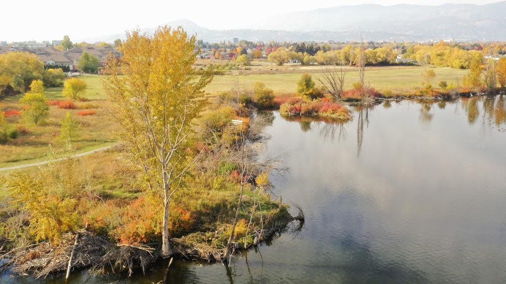 Munson Pond Park | South Pandosy - K.L.O., Kelowna, BC V1W, Canada