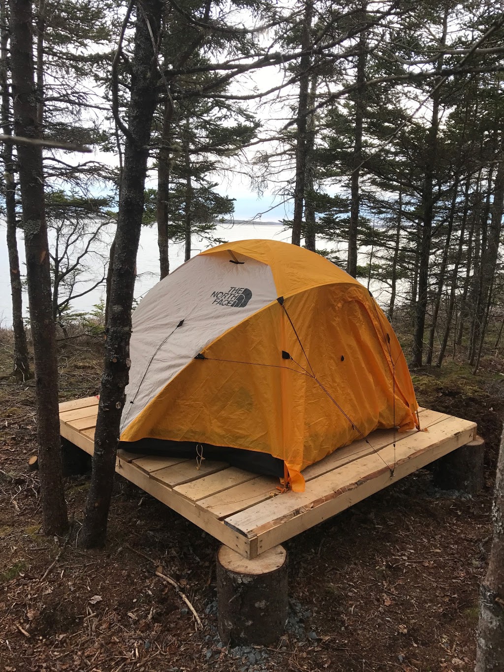 Norse Cove Seaside Camping | 51 Dewolfes Rd, Tangier, NS B0J 3H0, Canada | Phone: (902) 430-4559