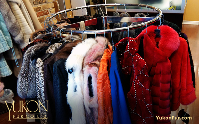 Yukon Fur Co Limited | 1667 Dundas St W, Toronto, ON M6K 1V2, Canada | Phone: (416) 598-3501