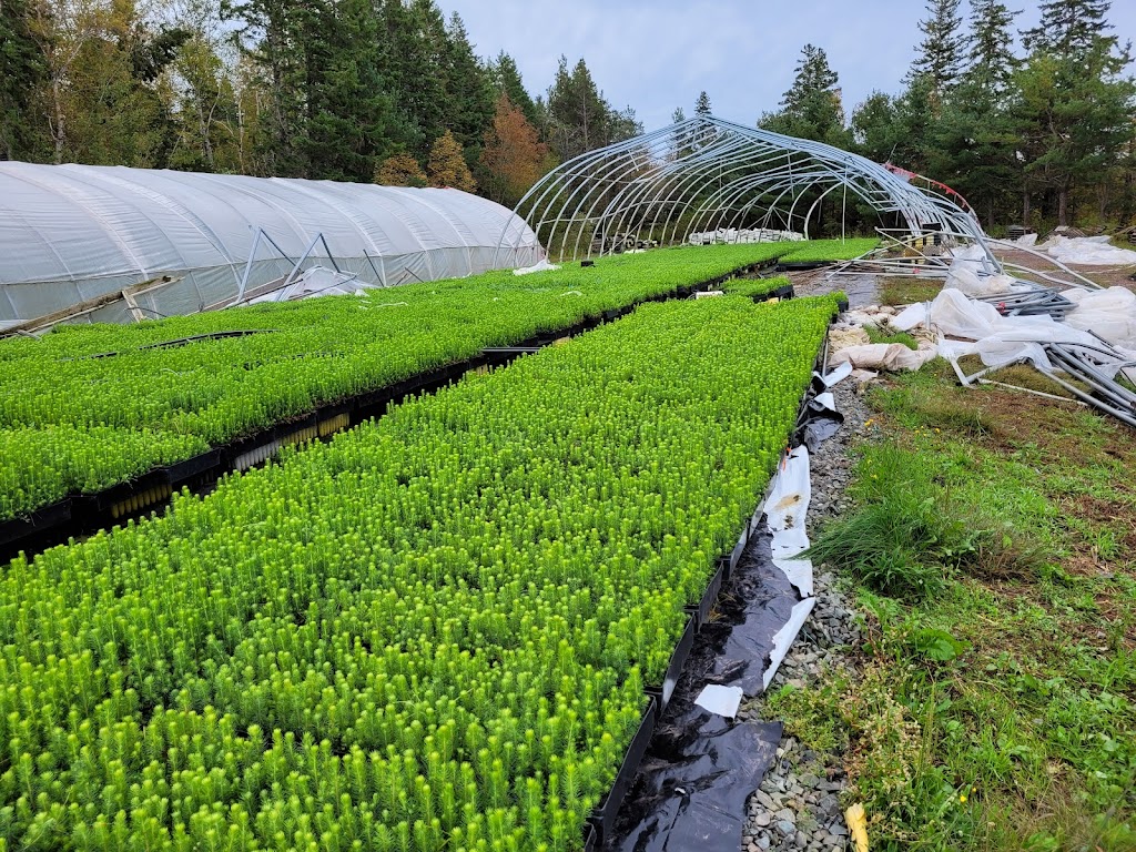 Atlantic Canada Greenhouse Supplies | 3367 NS-316, Saint Andrews, NS B0H 1X0, Canada | Phone: (902) 968-1082