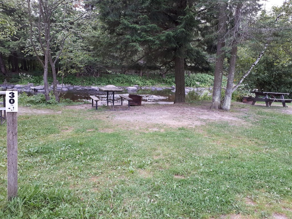 Camping La Riviere Du Passant | 330 Chemin Cyr, Saint-Joachim-de-Shefford, Quebec, QC J0E 2G0, Canada | Phone: (450) 539-3835