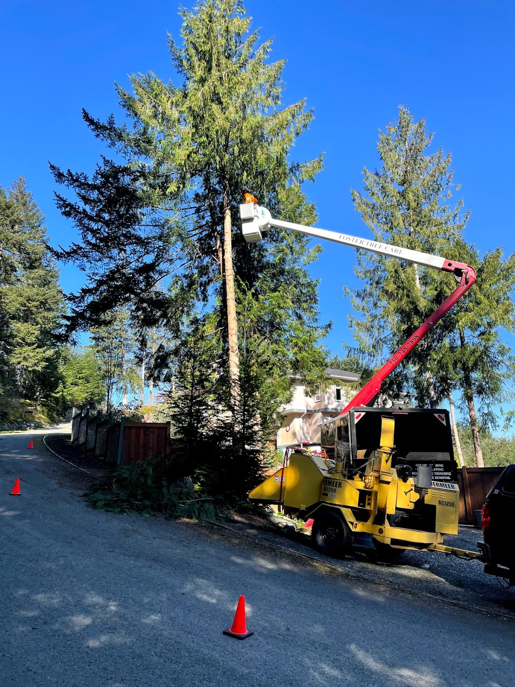 Foster Tree Care | 1038 Station Rd, Coombs, BC V0R 1M0, Canada | Phone: (250) 248-7898