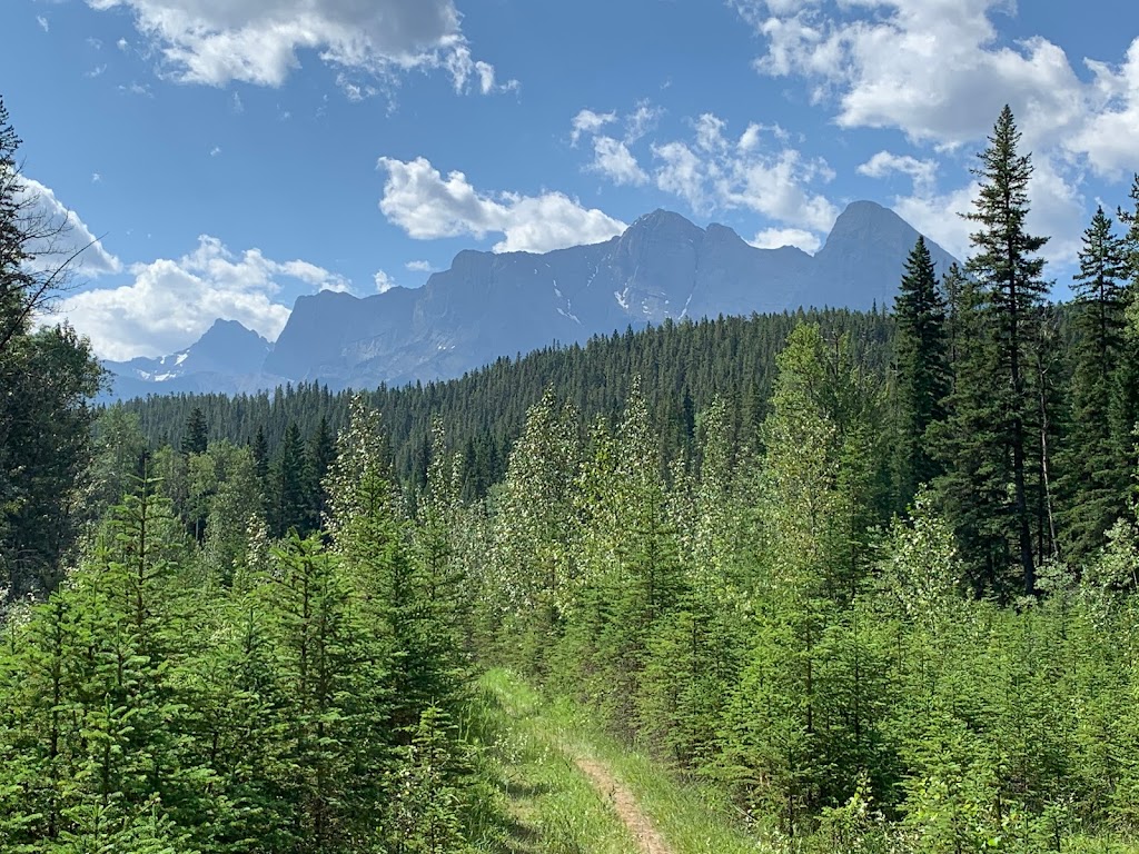 Canmore Trails and Tales | Canmore Recreation Centre Tour Meeting Location, Canmore, AB T1W 1Y2, Canada | Phone: (403) 679-1572