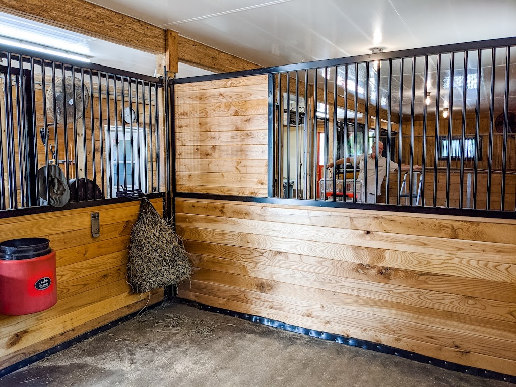 LIV Stables | 1751 Concession 2 Rd W, Lynden, ON L0R 1T0, Canada | Phone: (866) 812-3461