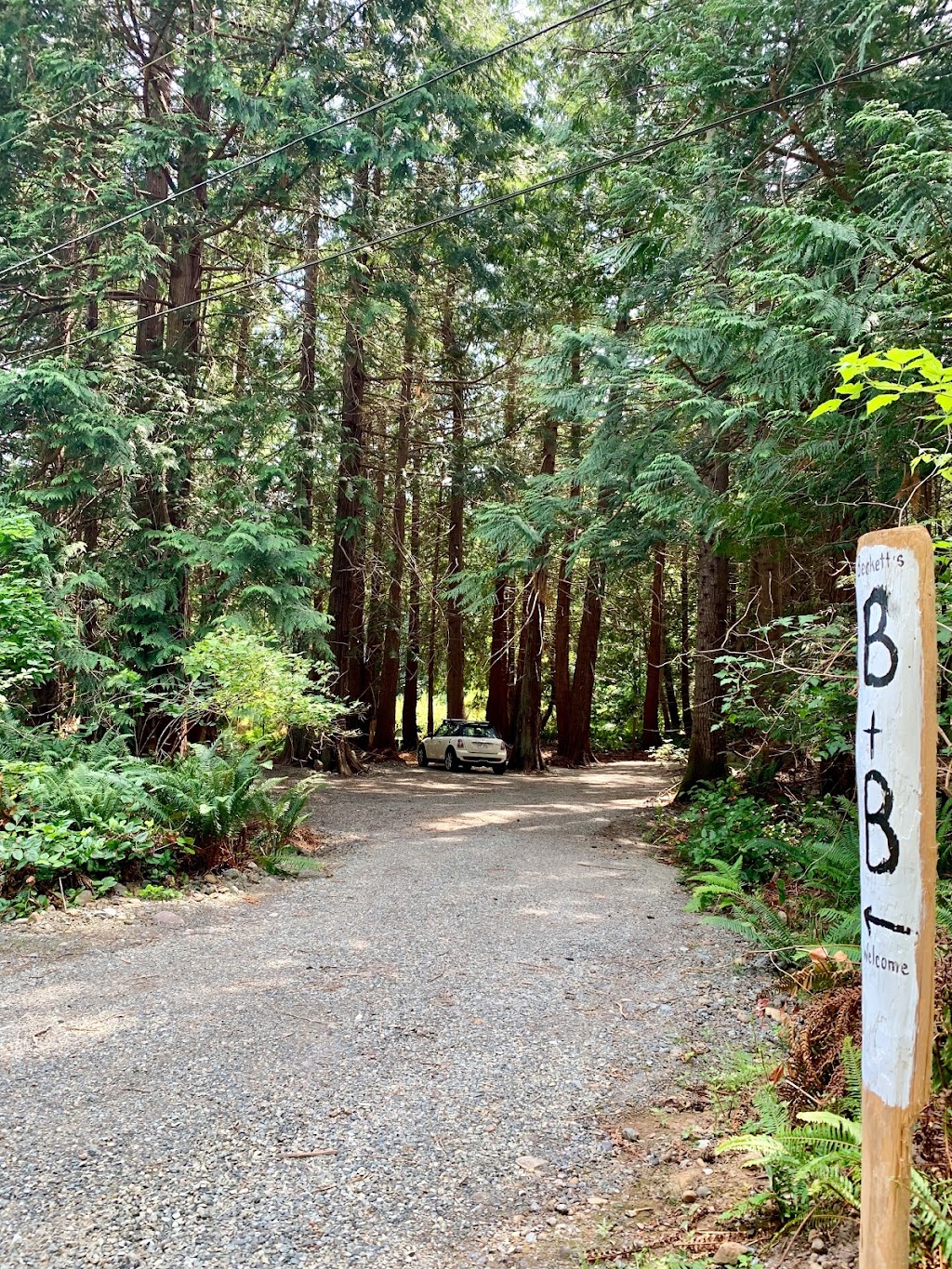 Beckett’s B&B | 4600 Chandler Rd, Hornby Island, BC V0R 1Z0, Canada | Phone: (250) 335-1874