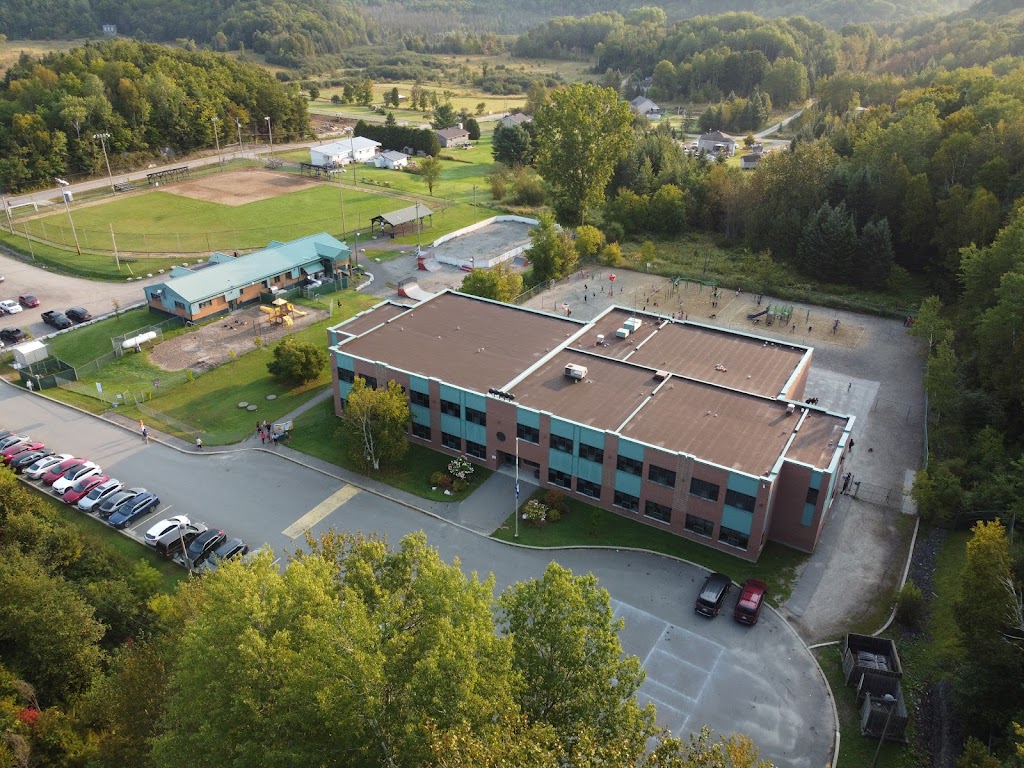 School La Colline | 20 Chem. du Parc, Val-des-Monts, QC J8N 4J8, Canada | Phone: (819) 503-8020