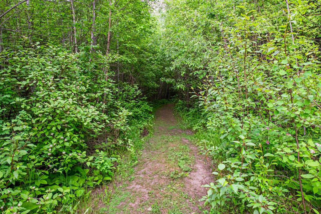 Mazukama Falls Hiking Trail | Thunder Bay, Unorganized, ON P0T 3C0, Canada | Phone: (807) 887-4021