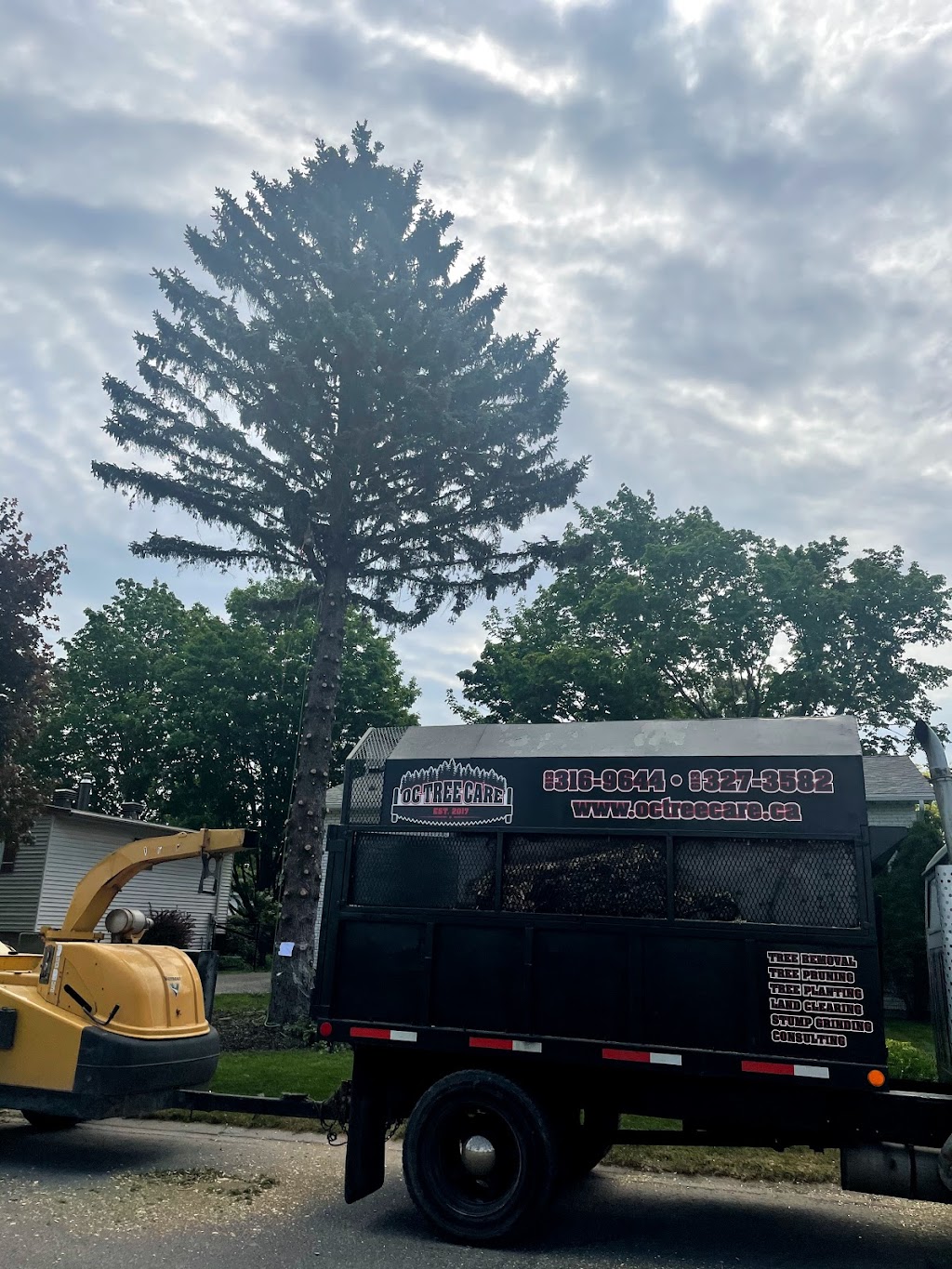 O.C Tree Care Inc. | Osgoode, Ottawa, ON K0A 2W0, Canada | Phone: (613) 327-3582