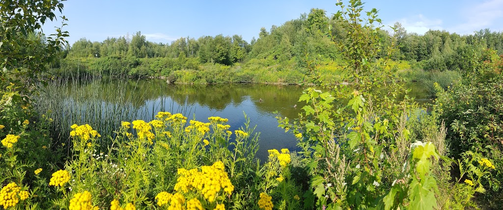 Park of the Montagne des Roches | Quebec City, QC G2L 0B2, Canada | Phone: (418) 641-6044