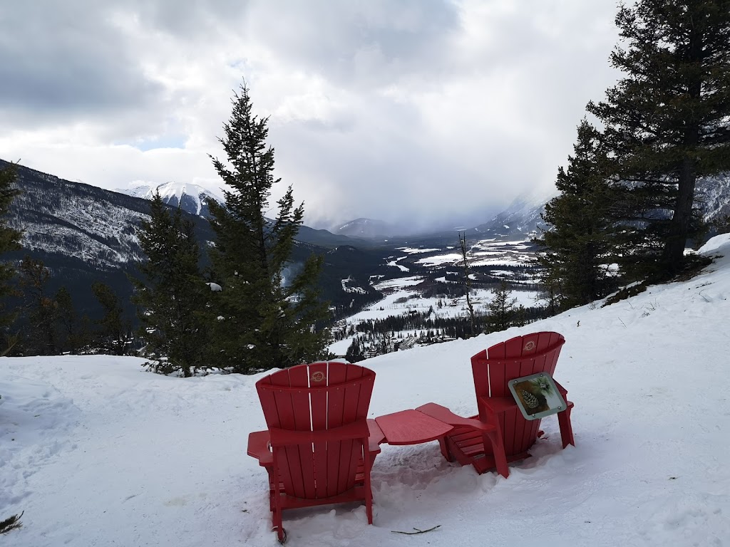 Tunnel Mountain Trail Route | Tunnel Mountain Trail, Improvement District No. 9, AB T0L 0C0, Canada | Phone: (888) 773-8888