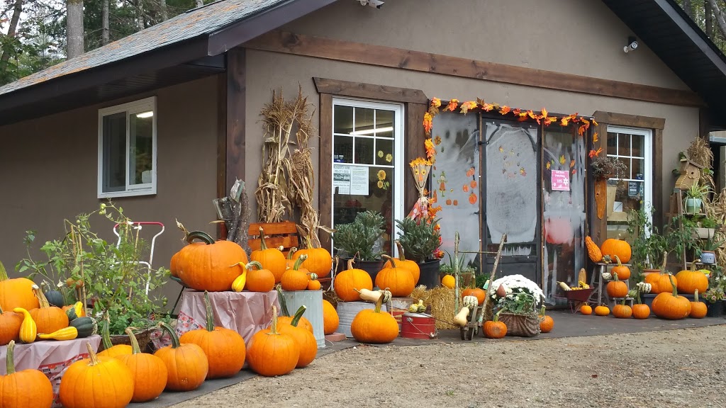 Season 2 Season Garden Market | 2849 Muskoka District Road 117, Baysville, ON P0B 1A0, Canada | Phone: (705) 767-1037