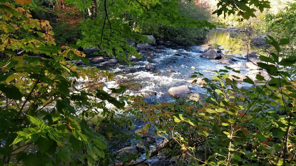 Val David (shallal) | 1422 Chemin de la Rivière, Val-David, QC J0T 2N0, Canada