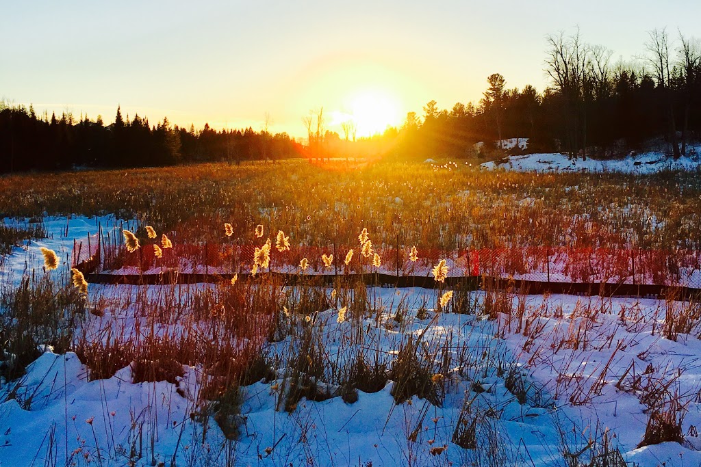 Monk Environmental Park | South March, Ottawa, ON K2K 1X7, Canada