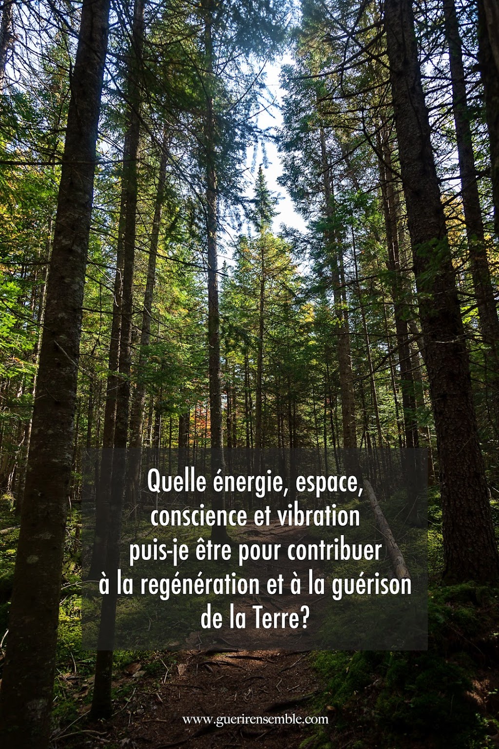 Guérir Ensemble | 1001 Rue de Kingston, Boucherville, QC J4B 4A2, Canada | Phone: (514) 971-2972