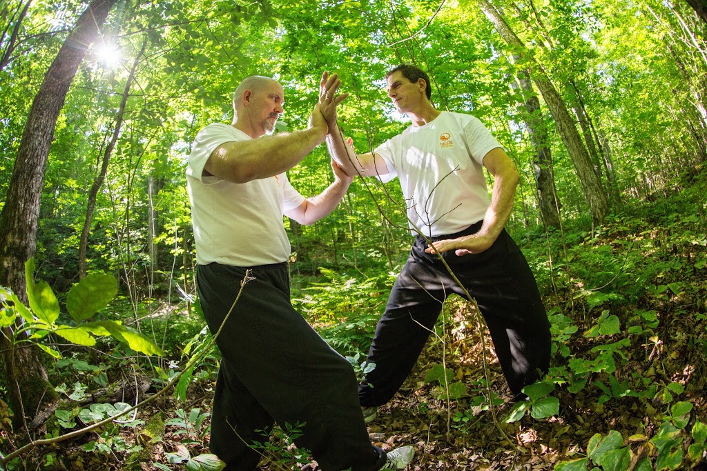 Tai Chi Ottawa | 415 Piccadilly Ave, Ottawa, ON K1Y 0H3, Canada | Phone: (613) 286-2799