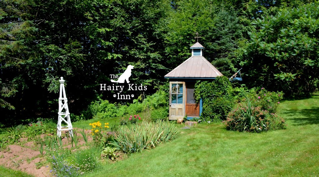 The Hairy Kids Inn | 1181 Cairns Rd, Freetown, PE C0B 1L0, Canada | Phone: (902) 439-6767