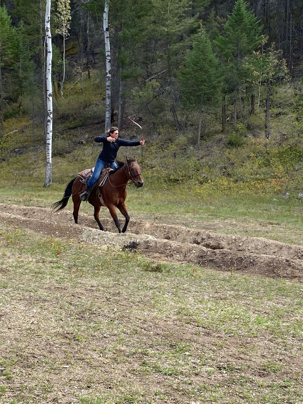 Canadian Academy of Mounted Archery | Steamboat Mountain Rd, Brisco, BC V0A 1B0, Canada | Phone: (250) 688-1451