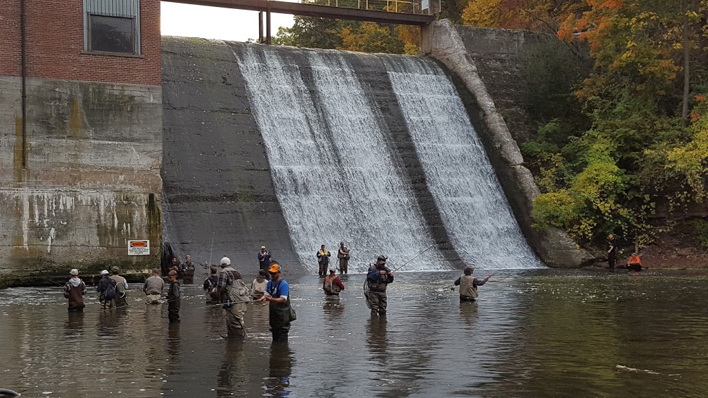 Burt Dam Fishermens Park | 5931 Old Wilson Burt Rd, Burt, NY 14028, USA