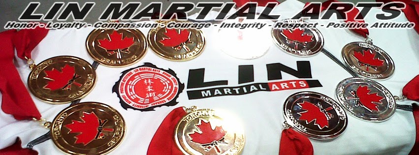 Lin Martial Arts | 100 Steelcase Rd E suite 201, Markham, ON L3R 1E8, Canada | Phone: (905) 213-9260