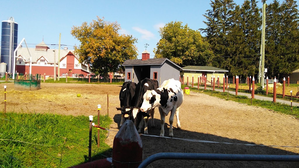 Horse and Cattle Barn | Ottawa, ON K2C, Canada | Phone: (613) 991-3044