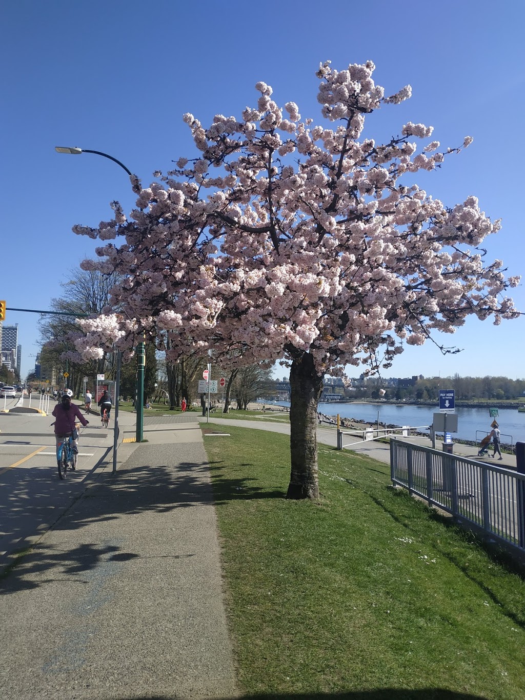 English Bay Seawall | Vancouver, BC V5Y 1V1, Canada | Phone: (604) 873-7000