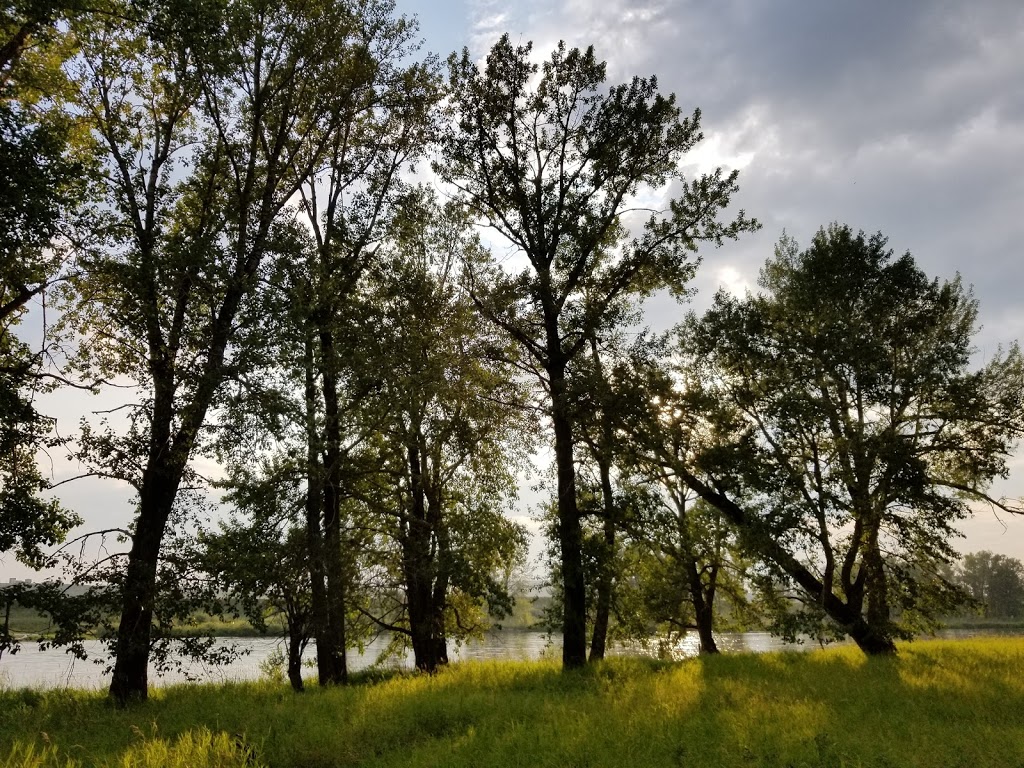 South Fishcreek | Unnamed Road, Calgary, AB T3M 0J1, Canada