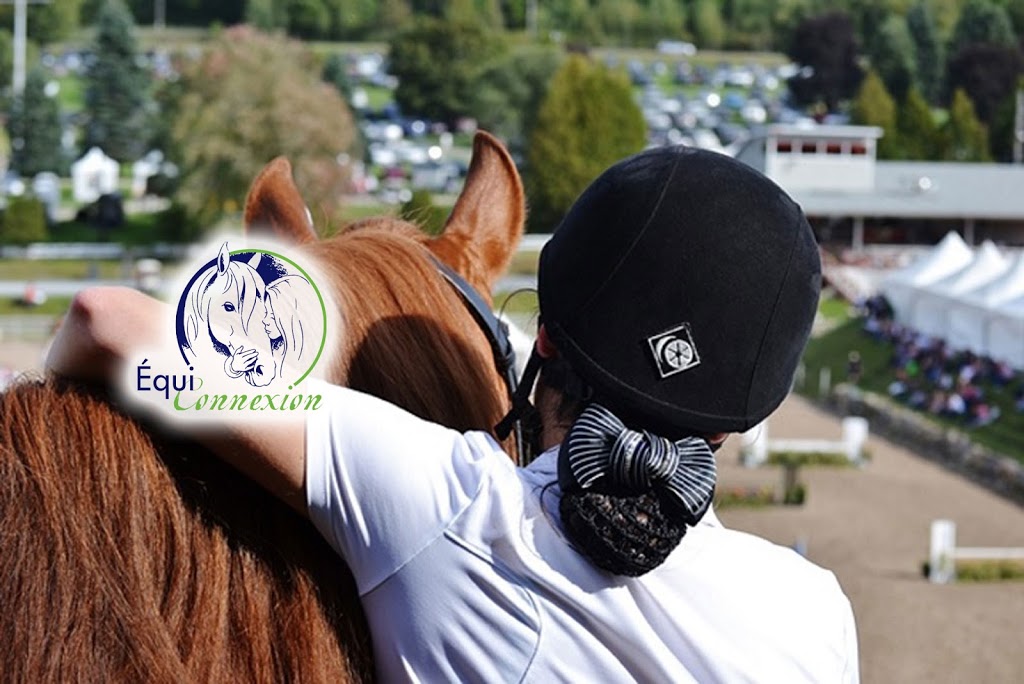 Equestrian Center Équiconnexion | 2588 Chemin Saint-Henri, Mascouche, QC J7K 3C3, Canada | Phone: (514) 242-9623