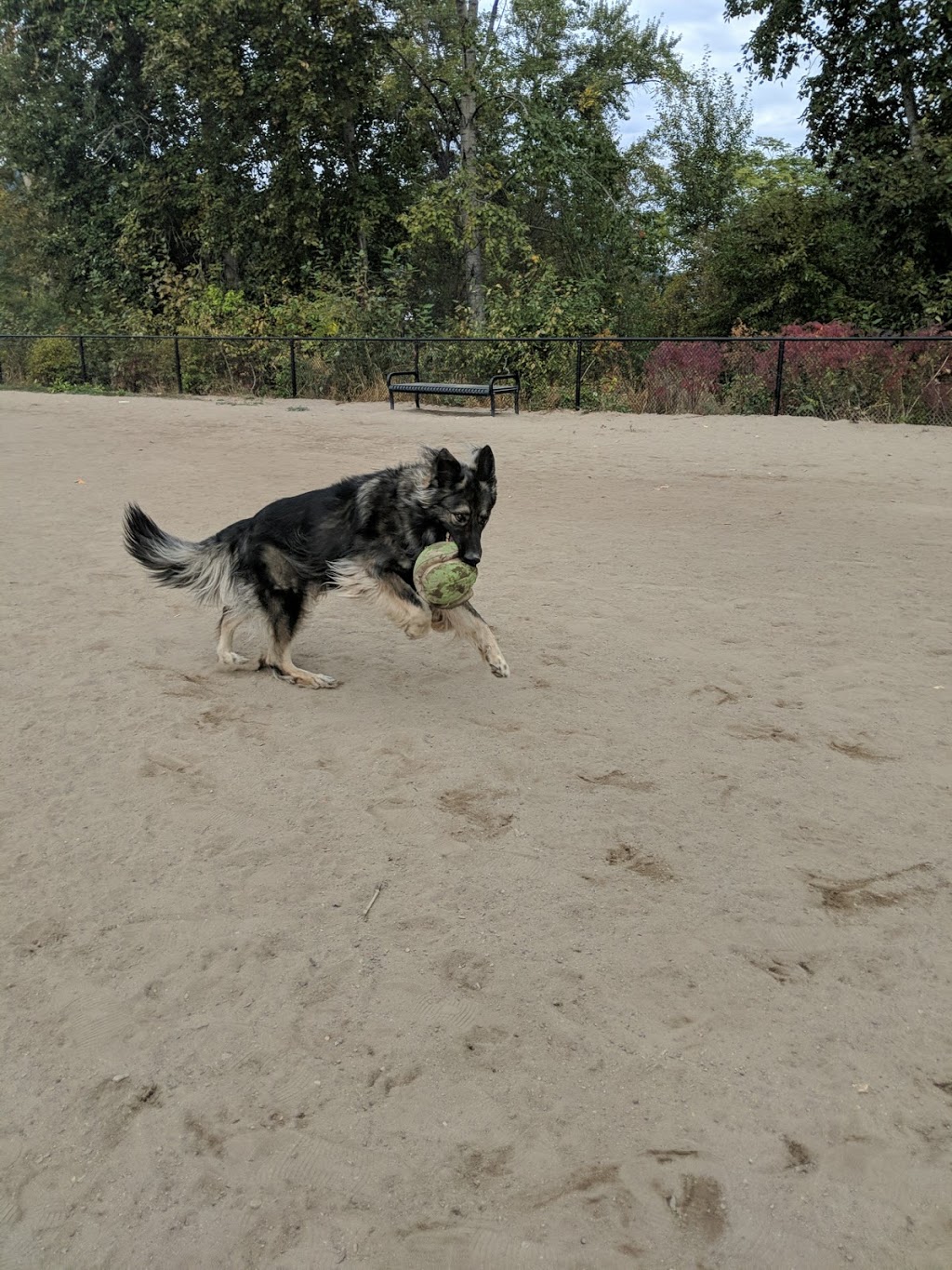 Dog Park | 102 Industrial Pl, Penticton, BC V2A 7C8, Canada