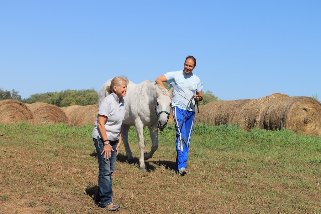 Cartier Farms Equine Assisted Learning | White Star Rd RR4, Spruce Home, SK S6V 5R2, Canada | Phone: (306) 980-5507