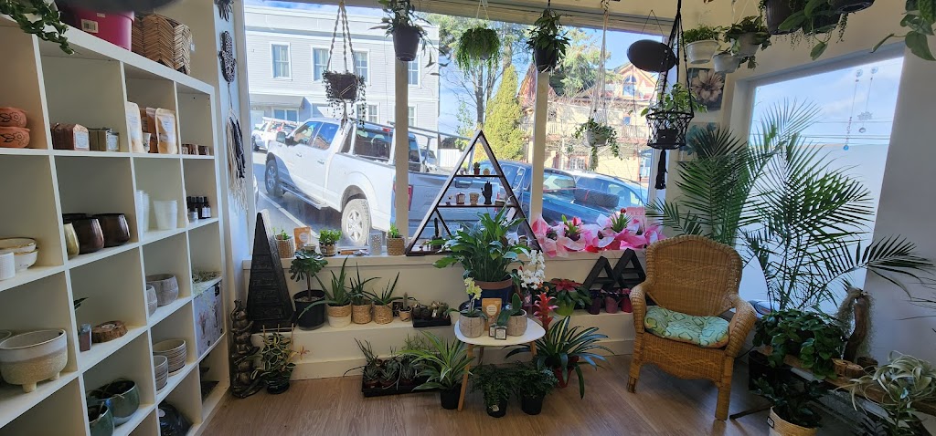 Soulstice plants and gifts | 17 Gatacre St, Ladysmith, BC V9G 1A1, Canada | Phone: (250) 734-1935