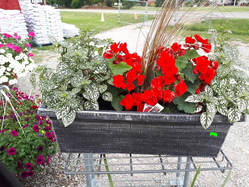 Kennedy garden center and growers of caledon | 13540 KennedyRoad South, Inglewood, ON L7C 2G2, Canada | Phone: (416) 567-7066