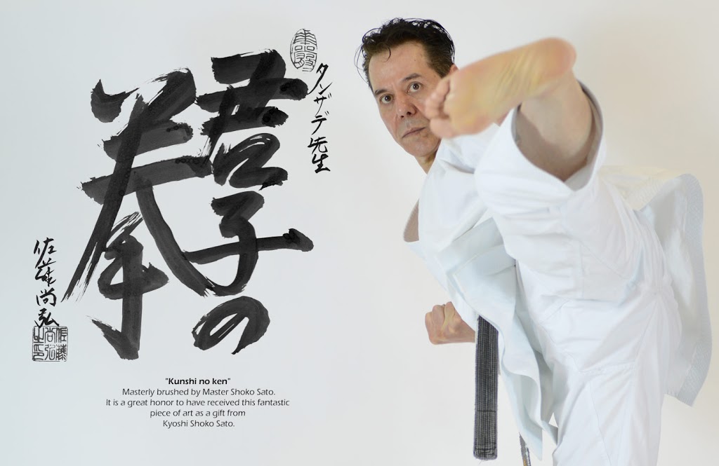 Shitoryu Karate (Tanzadeh Karate Dojo) | 57 Glen Cameron Rd, Thornhill, ON L3T 1P3, Canada | Phone: (416) 402-7119