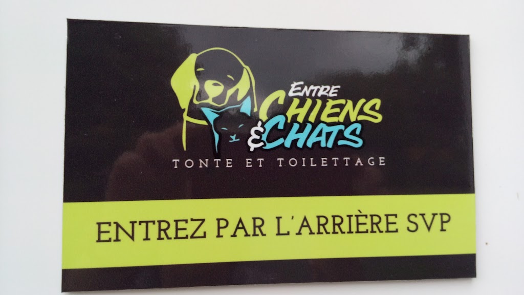 Entre Chiens et Chats Boutique et Esthétique | 2863 Rue Bellevue, Shawinigan, QC G9N 3L2, Canada | Phone: (819) 533-4400