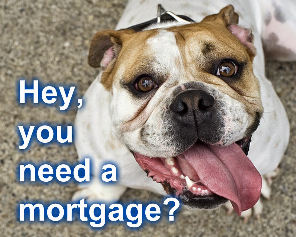 Red Dog Financial | 12 Coatsworth Crescent, Toronto, ON M4C 5P6, Canada | Phone: (647) 773-9001