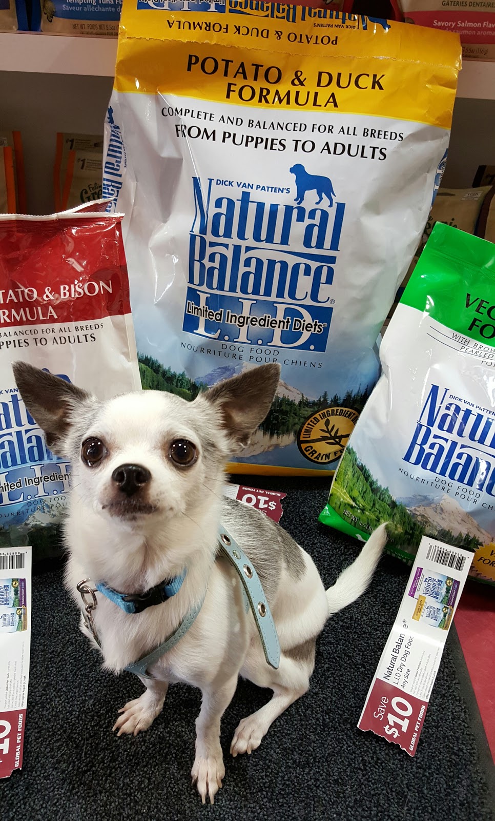 Global Pet Foods | 5 Clair Rd W, Guelph, ON N1L 0A6, Canada | Phone: (519) 823-3004