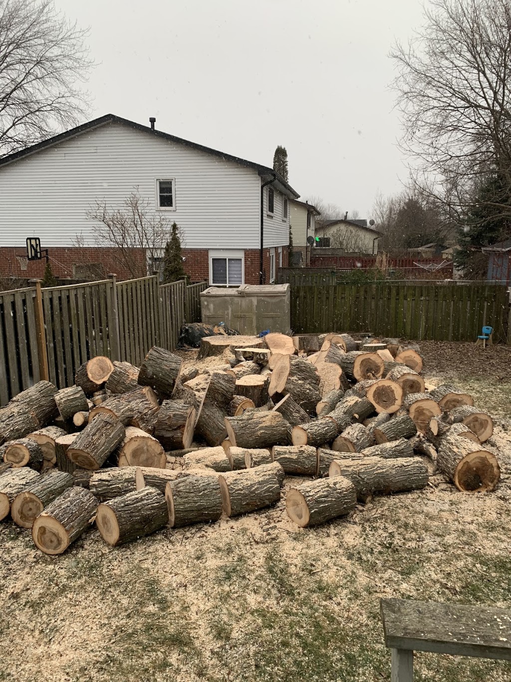 Active Tree Care | 000 Nash Rd, Courtice, ON L1E 2J9, Canada | Phone: (289) 356-1466