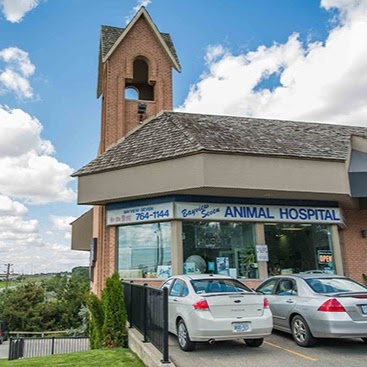 Bayview Seven Animal Hospital | 2 Hunters Point Dr, Richmond Hill, ON L4C 9Y4, Canada | Phone: (905) 764-1144