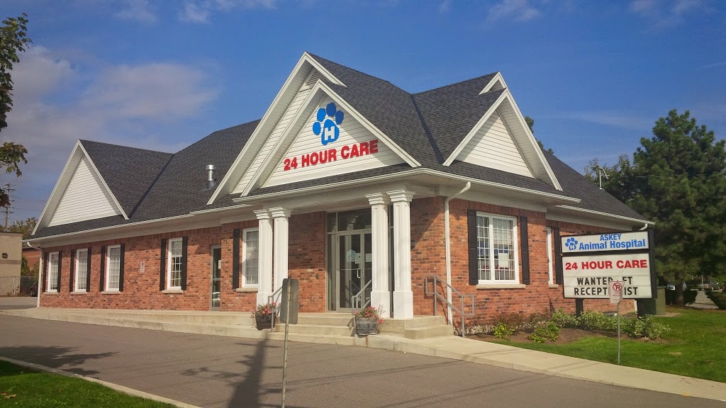 Askey Animal Hospital | 3525 Fairview St, Burlington, ON L7N 2R4, Canada | Phone: (905) 634-9088