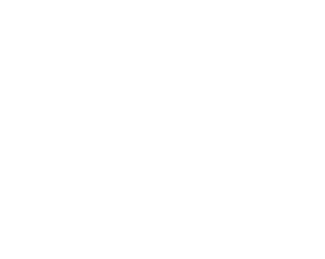 NARANJ HOUSE INC | 538 Av. Meloche, Dorval, QC H9P 2T2, Canada | Phone: (833) 362-7265