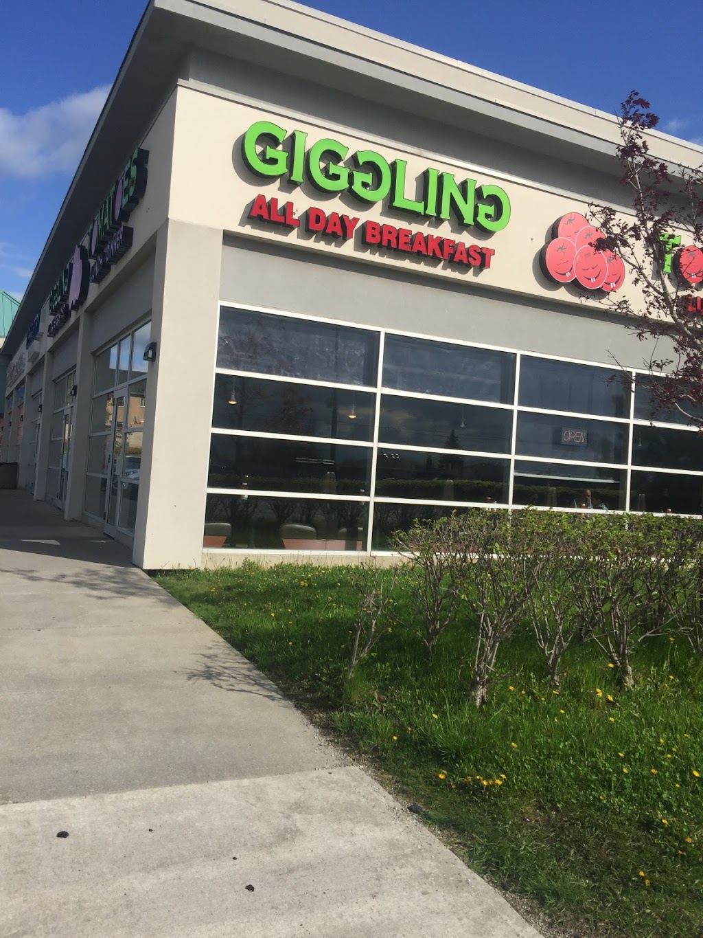 Giggling Tomatoes | 2280 Bovaird Dr E, Brampton, ON L6R 3J5, Canada | Phone: (905) 789-6419