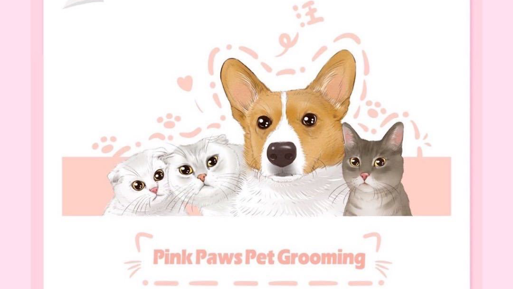 Pink Paws Pets Grooming | 900 Rathburn Rd W, Mississauga, ON L5C 4L2, Canada | Phone: (647) 686-1355