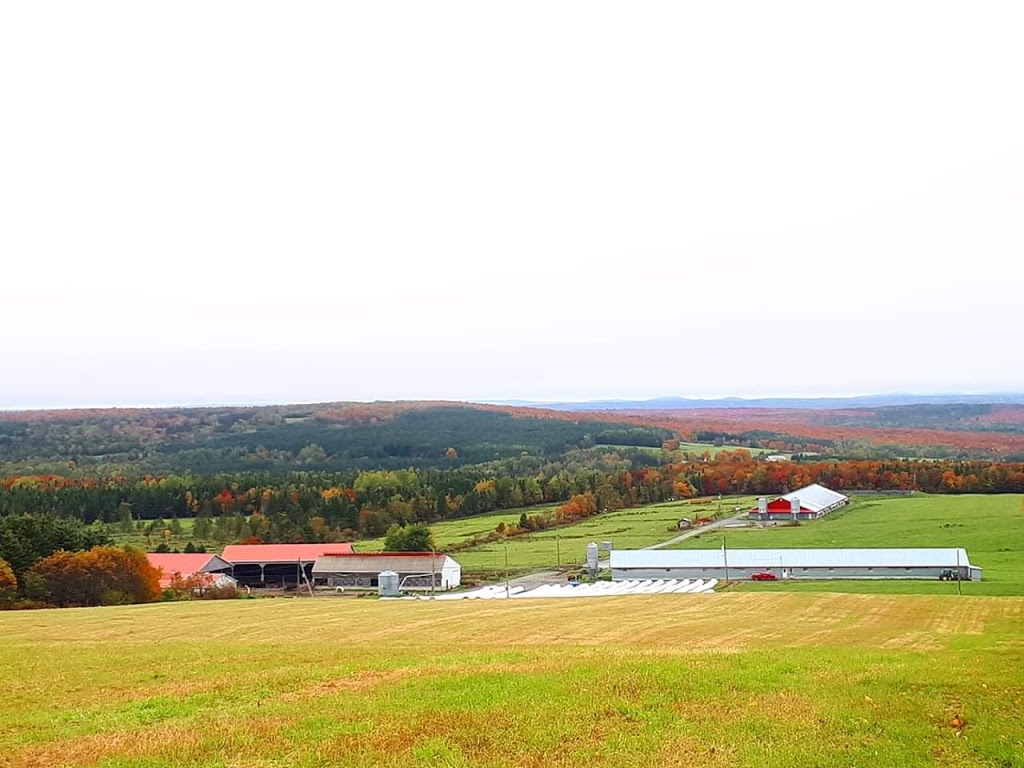 Ferme BCA SENC | 6531 6e Rang, Saint-Zacharie, QC G0M 2C0, Canada | Phone: (418) 593-7364