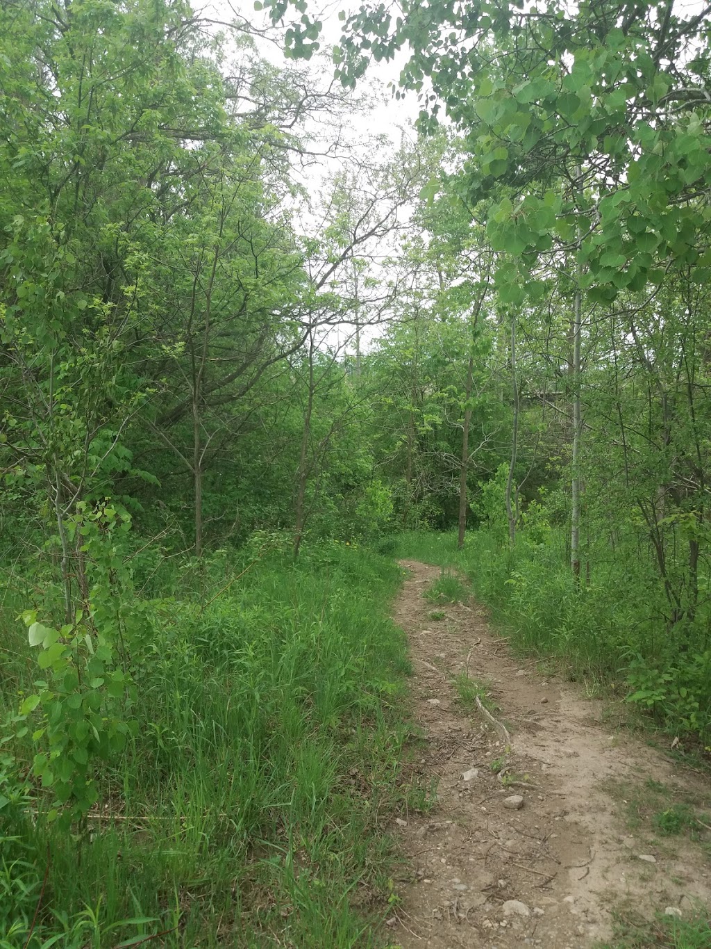 Howitt Creek Flood Protection Facility | 45 Silvercreek Pkwy S, Guelph, ON N1H 3S7, Canada | Phone: (519) 822-1260 ext. 2225