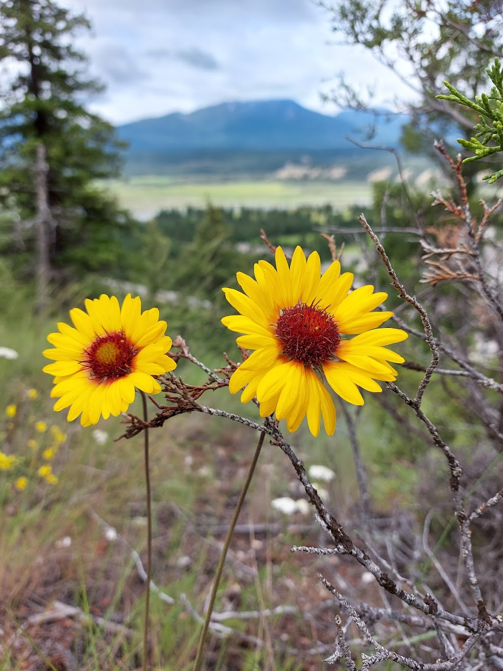 Sunset Motel | 4883 McKay St, Radium Hot Springs, BC V0A 1M0, Canada | Phone: (250) 347-0021