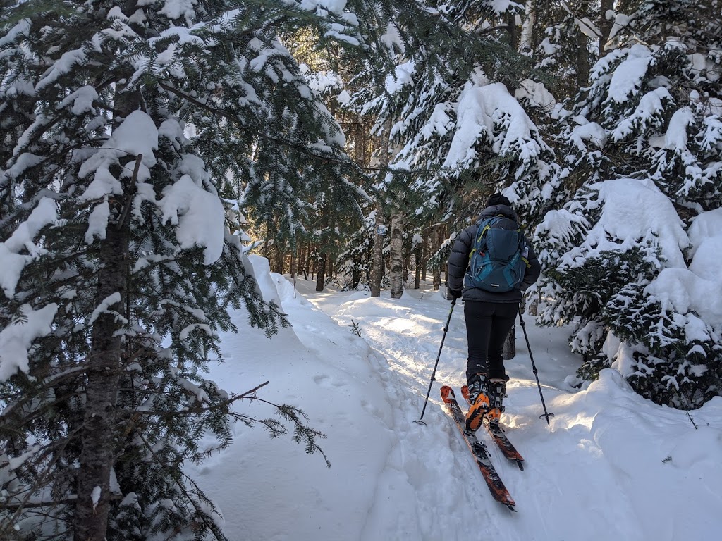 Ski La Réserve | 56 Chemin du Mont la Réserve, Saint-Donat-de-Montcalm, QC J0T 2C0, Canada | Phone: (819) 424-1373