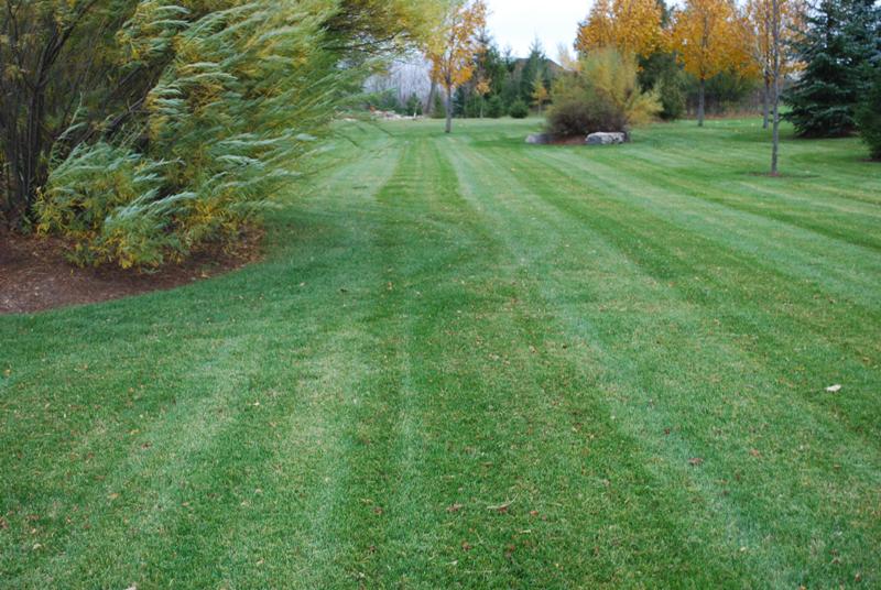 BJF Contracting - Lawn Care and Complete Property Maintenance | 408 Freelton Rd, Puslinch, ON N0B 2J0, Canada | Phone: (289) 259-1927