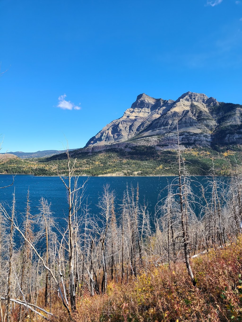 Bertha Trailhead | Waterton Park, AB T0K 2M0, Canada | Phone: (403) 859-5133